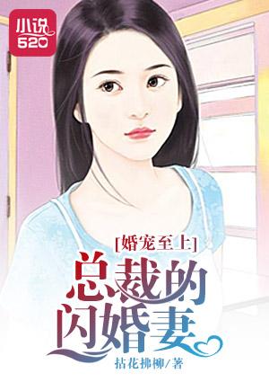 超级能源ees